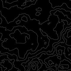 Poster - Dark topographic contour map background, vector illustration with white lines and mesh.