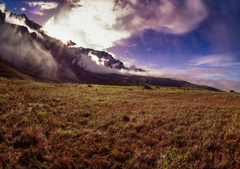 Wall Mural - Mount Roraima at sunrise, Canaima National Park, Bolivar State, Venezuela