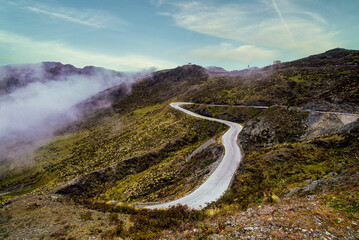 Wall Mural - The Trans-Andean Highway with Frailejones or Big Monks along the road, Merida state, Venezuela