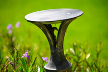 Lamp In The Garden With Flowers