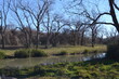 Oyster Creek, Cullinan Park, Sugar Land, Texas