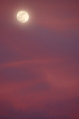 Wall Mural - a full moon rises through clouds at sunset