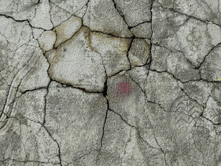 Wall Mural - concrete floor with crack texture