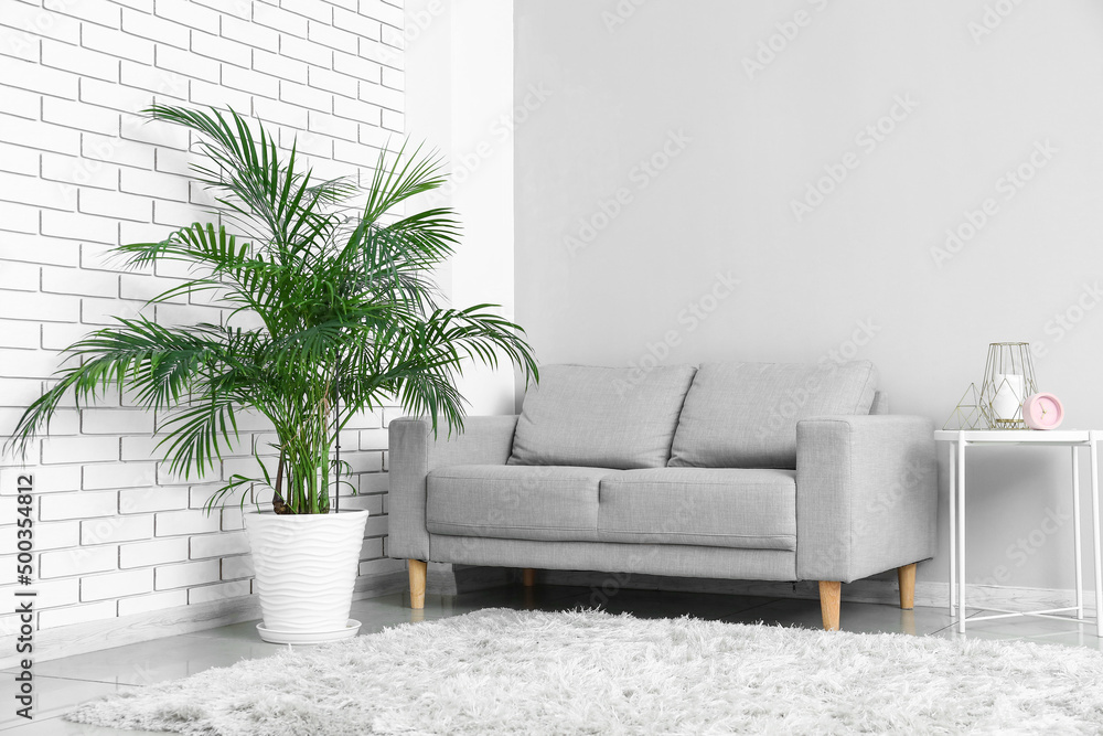 Interior of light living room with grey sofa, table and palm tree