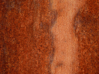 Canvas Print - stain of rust on metal texture, grunge background