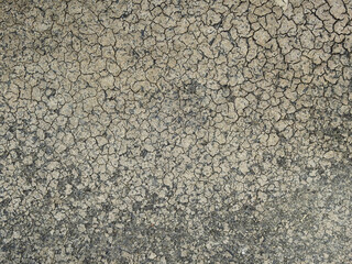 Canvas Print - crack on the dry ground at drought season