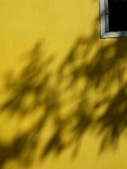 Sticker - shadow of leaf on exterior yellow wall texture