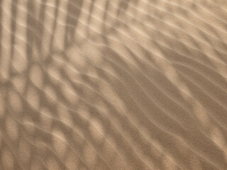 Sand texture.Dented wave of the blow of the wind