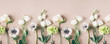 Leinwandbild Motiv creative flower background, pattern, floral concept