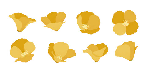 Wall Mural - Set of california poppy blooming flowers illustration.