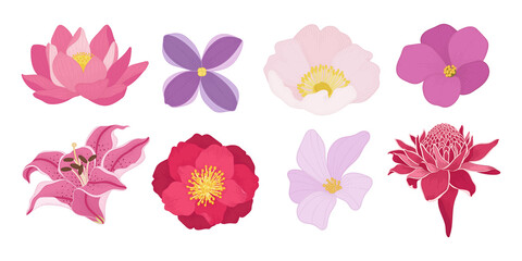 Wall Mural - Set of colorful blooming flowers illustration.