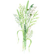 Watercolor wild meadow grass bouquet, green herbal composition illustration, cereal wild plants, floral hand drawn spring summer natural herbs isolated on white background