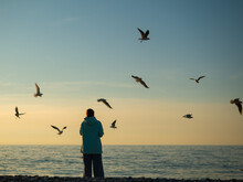Caucasian Woman Feeding Seagulls At Sunset By The Sea. 