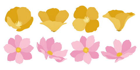 Wall Mural - Set of colorful blooming flowers illustration.