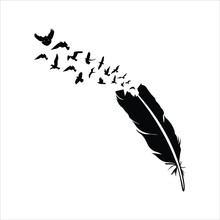 Feather To Birds