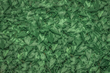 Green Leaves Background, Background And Wallpaper