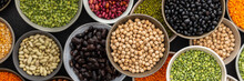Banner Of Different Types Of Legumes In Bowls, Green With Yellow Peas And Mung Beans, Chickpeas And Peanuts, Colored Beans And Lentils, Top View