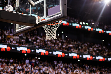 Canvas Print - basketball game ball in hoop