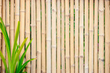 Fototapeta Sypialnia - bamboo wooden stick wall for summer tropical hawaii sea beach nature concept background