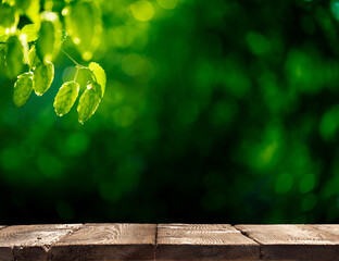 Product display- rustic wooden table in front of plantation of green ripe hop cones in the sunlight. Brewery and Oktoberfest concept background with copy space.