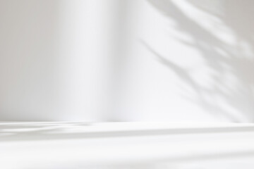 Fototapete - Abstract white studio background for product presentation. Empty room with shadows of window and flowers and palm leaves . 3d room with copy space. Summer concert. Blurred backdrop.