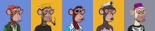 Bored Ape NFT Collection Set Isolated On Colored Background. Crypto Monkey Illustration