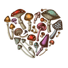 Forest Mushrooms Heart Vintage Design. Hand Drawn Mushrooms, Fly Agaric, Blewit, Shimeji, Enoki, Etc.