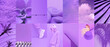 © Porechenskaya - Set of trendy aesthetic photo collages. Minimalistic images of one top color. Purple moodboard