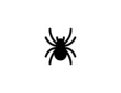 © photosynthesis - Spider vector icon. Isolated spider flat illustration
