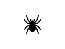 Spider Vector Icon. Isolated Spider Flat Illustration