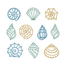 Seashells Colorful Hand Drawn Graphics Set. Marine Life Design Elements Collection. Vector Vintage Illustration.