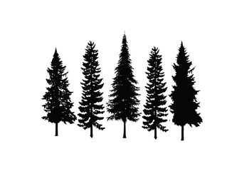 Set Collection Conifer Cedar Coniferous Cypress Pine Evergreen Fir Hemlock Spruce Larch Pinus tree forest illustration Logo design