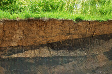 Soil Layer