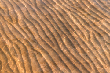 Wall Mural - Sandy seabed with wavy pattern under shallow water, abstract texture