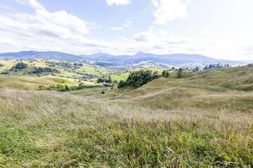 Wall Mural - Panorama of mountains in the Ukrainian Carpathians on a summer day.