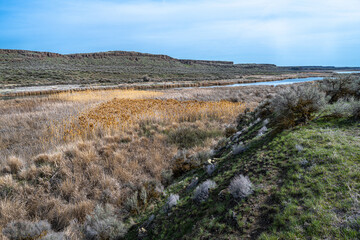 Along the Marsh Loop Trail in the Columbia National Wildlife Refuge, WA