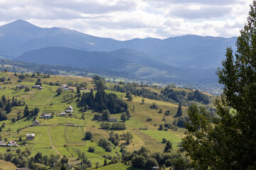 Wall Mural - Panorama of mountains in the Ukrainian Carpathians on a summer day.