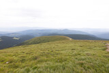 Fototapeta Na ścianę - Mountain landscape in Ukrainian Carpathians in summer.