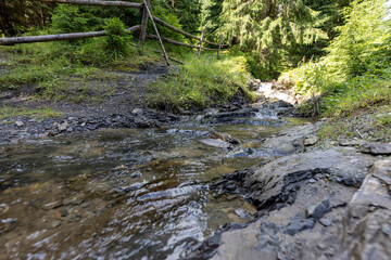  Mountain stream on a summer day in the Ukrainian Carpathians