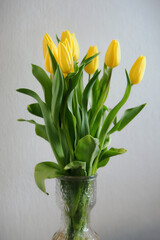 Wall Mural - Yellow tulip flowers in a vase.