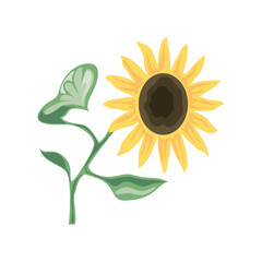 Poster - sunflower and leaves