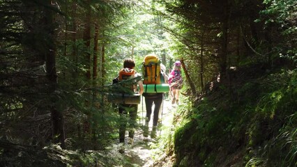 Wall Mural - tourists walking by the forest road