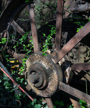 Rusty Metal  Wheel And Crawling Ivy .At The Junkyard.  Abandoned And Rusted Machinery. 