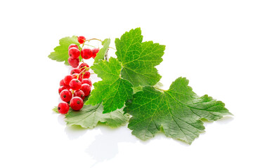 Wall Mural - red currant with leaves isolated on a white.