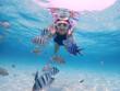 © sittinan - Tourist people diving with snorkel to see nemo fish , beautiful fish and coral at Samaesarn Island of Thailand