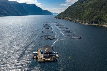 Farm salmon fishing in Norway