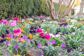 flowers in a flowerbed in the park	
