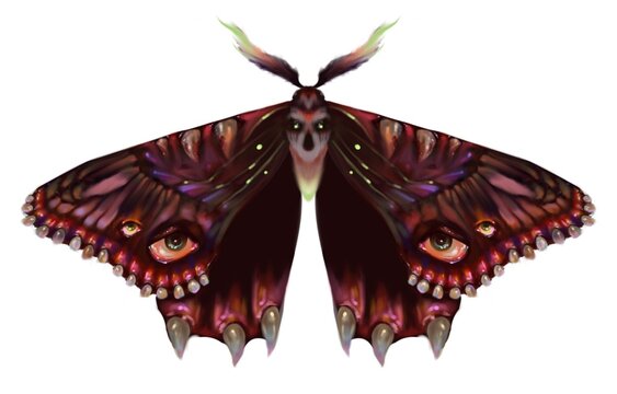 Creepy beautiful butterfly, monster moth