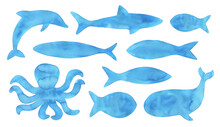 Watercolour Illustration Collection Of Various Ocean And Water Animals: Octopus, Dolphin, Whale, Shark, Different Fishes. Hand Drawn Water Colour Graphic Drawing, Cut Out Clipart Elements For Design.