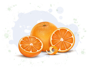 Fresh Orange Fruit vector illustration with half piece of  fruit 